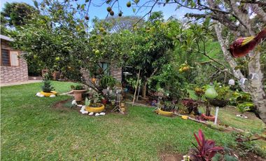 Finca en Damasco (Suroeste Antioqueño)