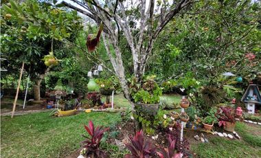 Finca en Damasco (Suroeste Antioqueño)