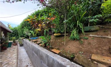 Finca en Damasco (Suroeste Antioqueño)