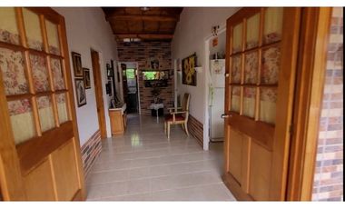 Finca en Damasco (Suroeste Antioqueño)