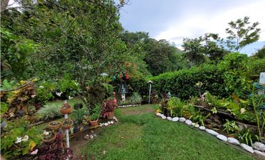 Finca en Damasco (Suroeste Antioqueño)