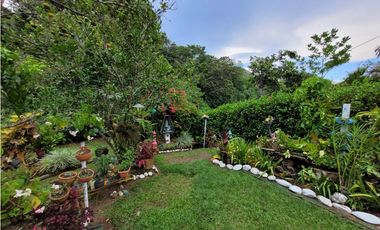 Finca en Damasco (Suroeste Antioqueño)