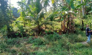 DIJUAL TANAH RAYA PANTAI MENGENINGG CIMAGI MENGWI BADUNG, BALI