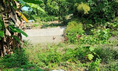DIJUAL TANAH RAYA PANTAI MENGENINGG CIMAGI MENGWI BADUNG, BALI