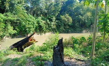 DIJUAL TANAH RAYA PANTAI MENGENINGG CIMAGI MENGWI BADUNG, BALI