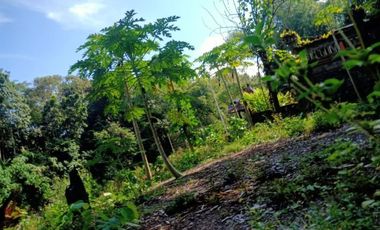 DIJUAL TANAH RAYA PANTAI MENGENINGG CIMAGI MENGWI BADUNG, BALI