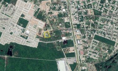 TERRENO EN VENTA EN MERIDA, IDEAL PARA PROYECTO EN COL ROBLE AGRICOLA DE 1 HA