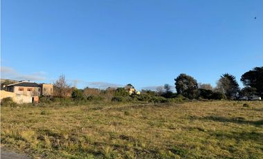 Excelente oportunidad de inversión (Calle 26 y 59 bis)