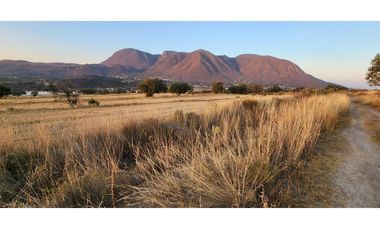 Tepeapulco Hgo. ideal Invernaderos, Fracc habitacional o naves $130 m2