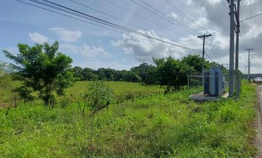 Se vende terreno comercial en Pacora