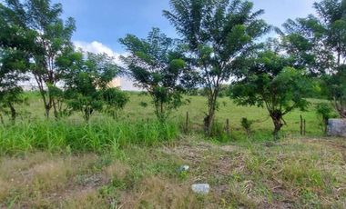 Se vende terreno comercial en Pacora