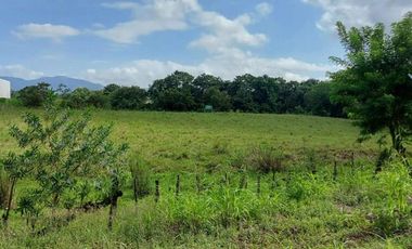 Se vende terreno comercial en Pacora
