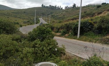 VENTA TERRENO INDUSTRIAL NORTE, 14,9 HECTAREAS