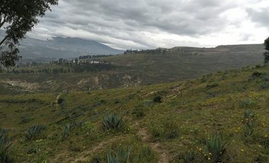 VENTA TERRENO INDUSTRIAL NORTE, 14,9 HECTAREAS
