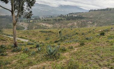 VENTA TERRENO INDUSTRIAL NORTE, 14,9 HECTAREAS