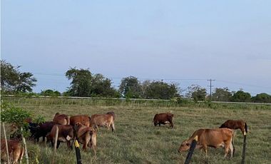 VENTA DE FINCA  AMOBLADA EN GUAYABAL DE SAN PELAYO  CÓRDOBA