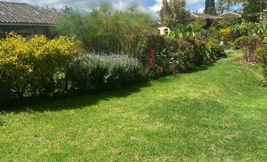 Venta Pakakuna Gardens en Checa villa amplia