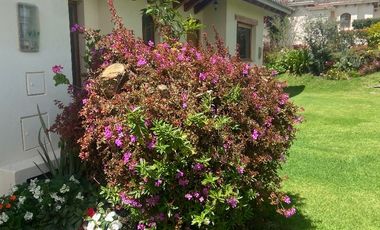 Venta Pakakuna Gardens en Checa villa amplia