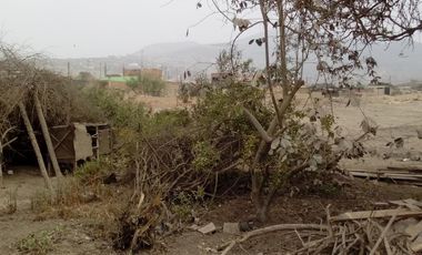 Terrenos Industriales Venta AV. Contumaza - PUENTE PIEDRA