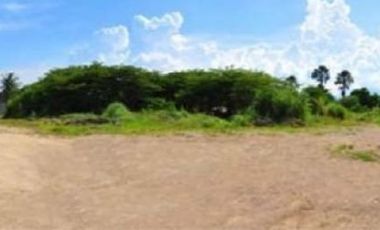 7957 sqm Commercial Lot for Rent in Tayud, Liloan