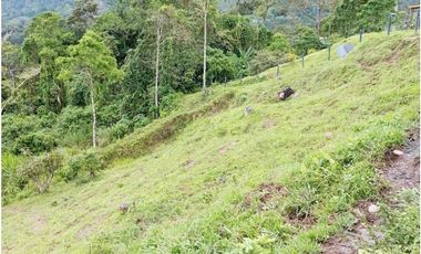 VENDE FINCA TAMESIS, SUROESTE ANTIOQUEÑO