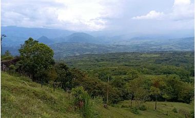 VENDE FINCA TAMESIS, SUROESTE ANTIOQUEÑO