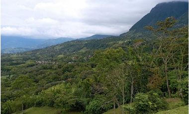 VENDE FINCA TAMESIS, SUROESTE ANTIOQUEÑO