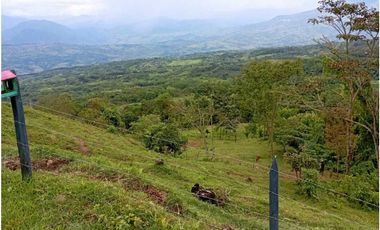 VENDE FINCA TAMESIS, SUROESTE ANTIOQUEÑO