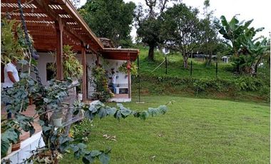 VENDE FINCA TAMESIS, SUROESTE ANTIOQUEÑO