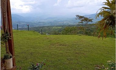 VENDE FINCA TAMESIS, SUROESTE ANTIOQUEÑO