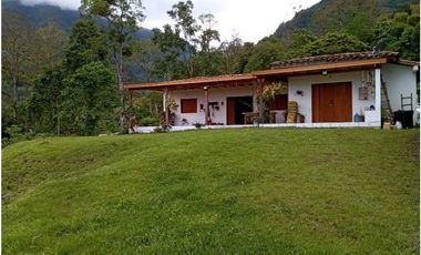 VENDE FINCA TAMESIS, SUROESTE ANTIOQUEÑO