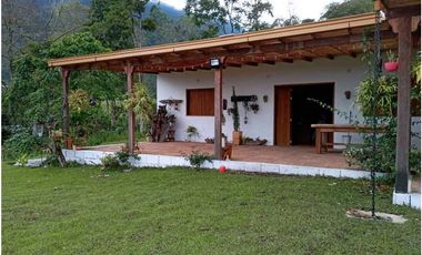 VENDE FINCA TAMESIS, SUROESTE ANTIOQUEÑO