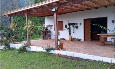 VENDE FINCA TAMESIS, SUROESTE ANTIOQUEÑO