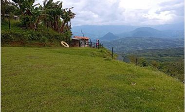 VENDE FINCA TAMESIS, SUROESTE ANTIOQUEÑO