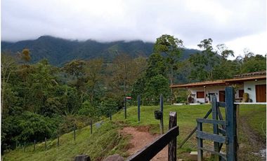 VENDE FINCA TAMESIS, SUROESTE ANTIOQUEÑO