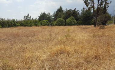 VENTA TERRENO, SAN SALVADOR EL VERDE, PUEBLA!!!!