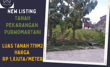Tanah Sawah Dijual di Kujonsari, Purwomartani: LT 779