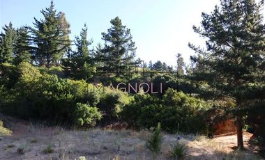 Parcela en Venta en el chorrillo