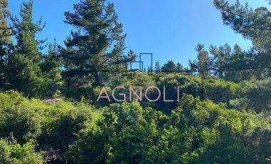 Parcela en Venta en el chorrillo