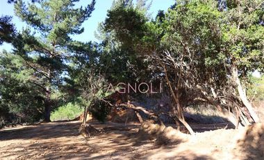 Parcela en Venta en el chorrillo