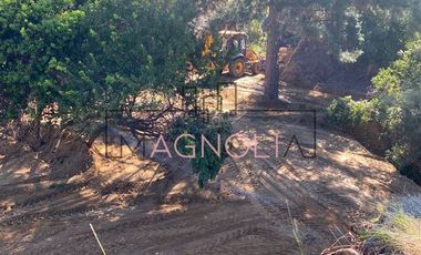 Parcela en Venta en el chorrillo