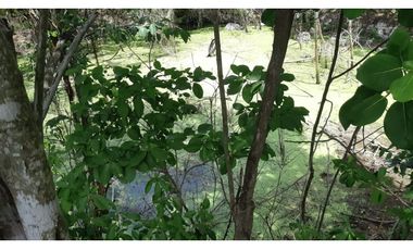 Venta Rancho ganadero Espita Yucatán