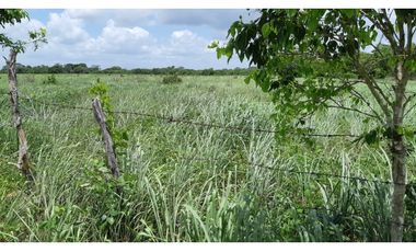 Venta Rancho ganadero Espita Yucatán