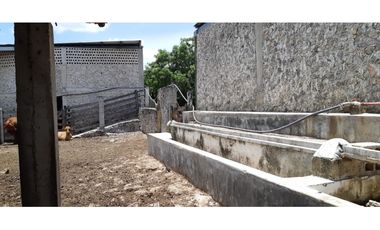 Venta Rancho ganadero Espita Yucatán