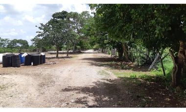 Venta Rancho ganadero Espita Yucatán