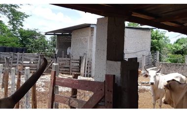 Venta Rancho ganadero Espita Yucatán