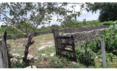Venta Rancho ganadero Espita Yucatán