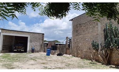 Venta Rancho ganadero Espita Yucatán