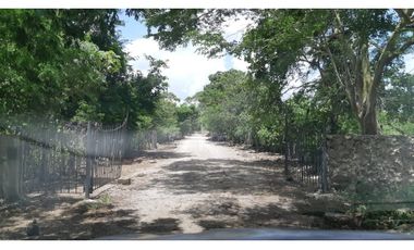 Venta Rancho ganadero Espita Yucatán