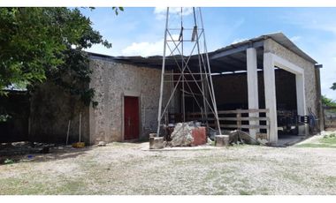 Venta Rancho ganadero Espita Yucatán